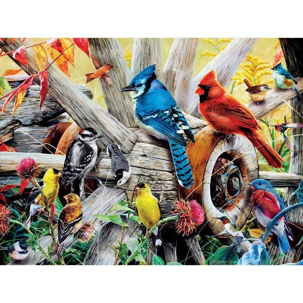 Audubon Backyard Birds 300 Piece EZ Grip Jigsaw Puzzle | Masterpieces - Jigsaw Puzzles - The Puzzle Center