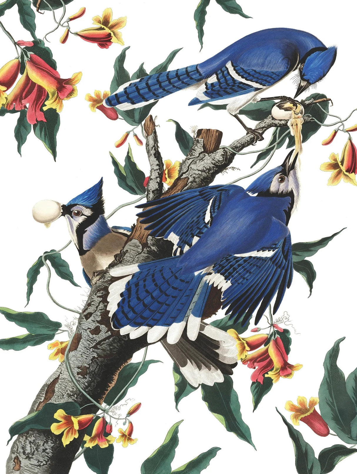 Blue Jays 500 Piece Jigsaw Puzzle | New York Puzzle Company - Jigsaw Puzzles - The Puzzle Center