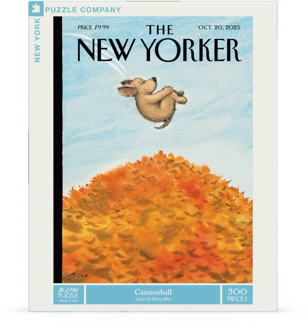 Cannonball 300 Piece Jigsaw Puzzle | New York Puzzle Company - Jigsaw Puzzles - The Puzzle Center
