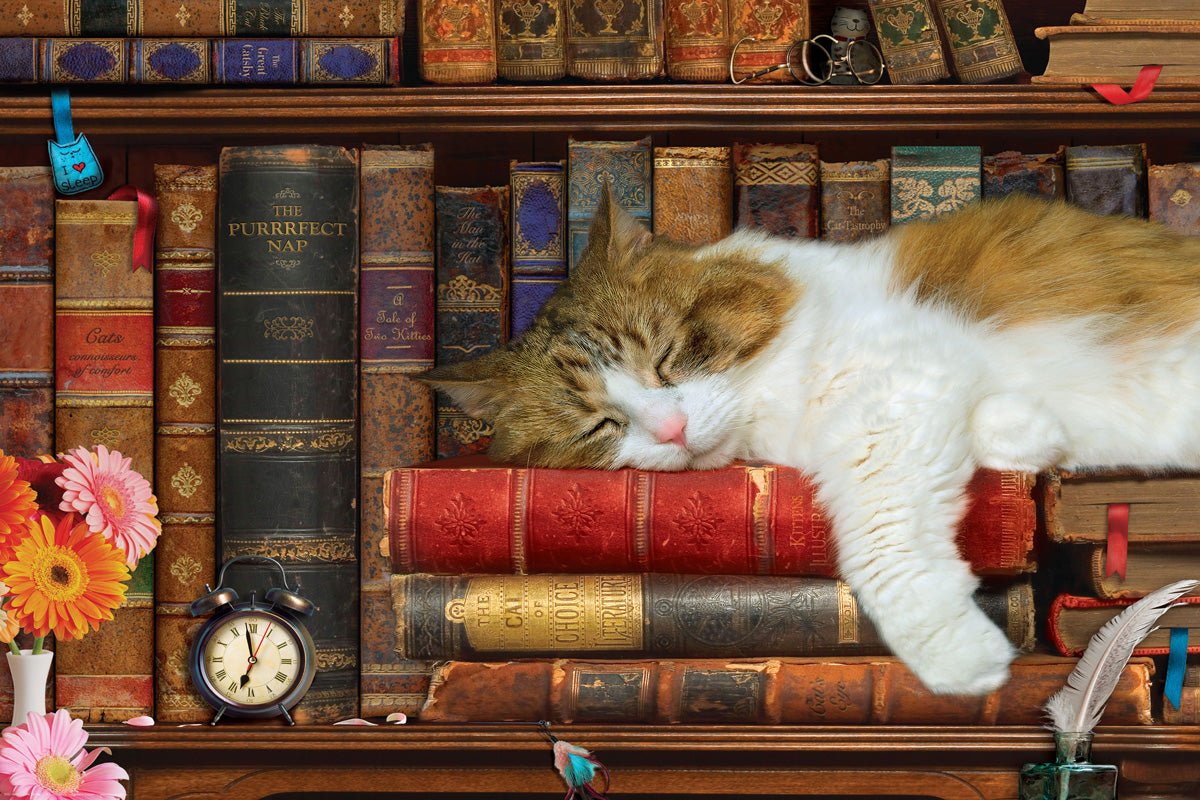 Cat Nap 1000 Piece Puzzle by EuroGraphics - Eurographics - Jigsaw Puzzles - The Puzzle Center -