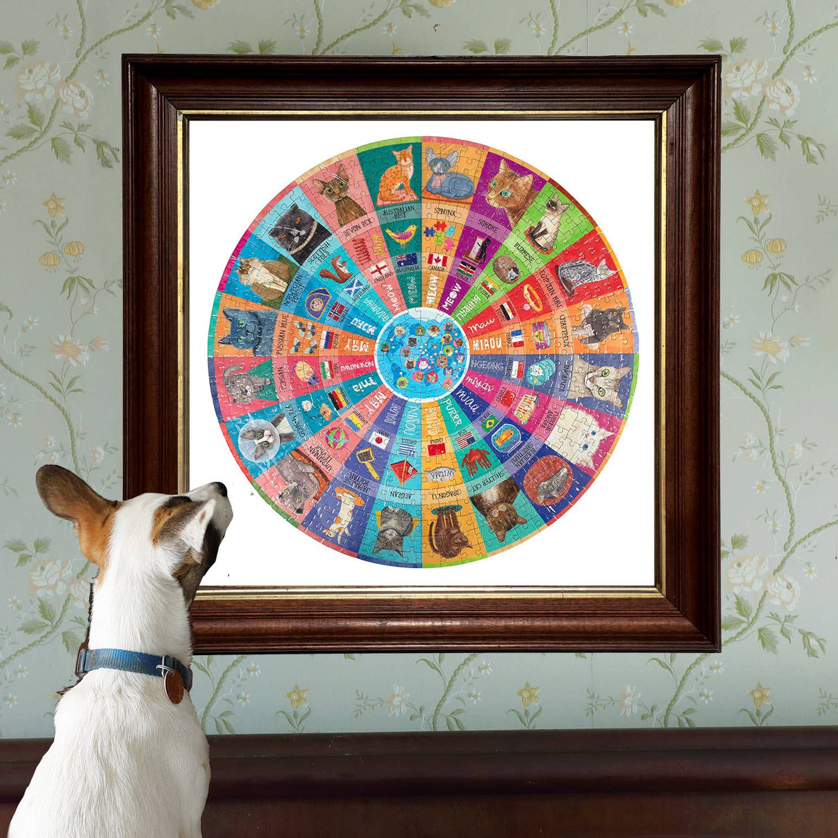 Cats of the World 500 Piece Round Puzzle by eeBoo Puzzles - eeBoo - Jigsaw Puzzles - The Puzzle Center -