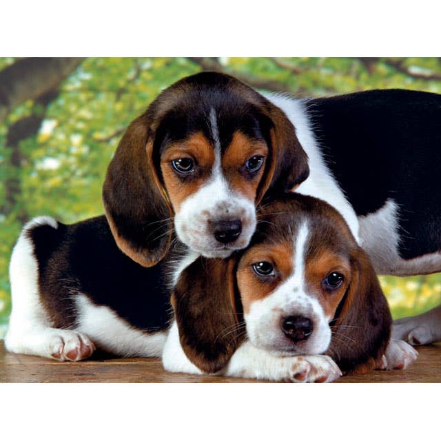 Close Together - 500 Piece Jigsaw Puzzle by Clementoni - Clementoni - Jigsaw Puzzles - The Puzzle Center -