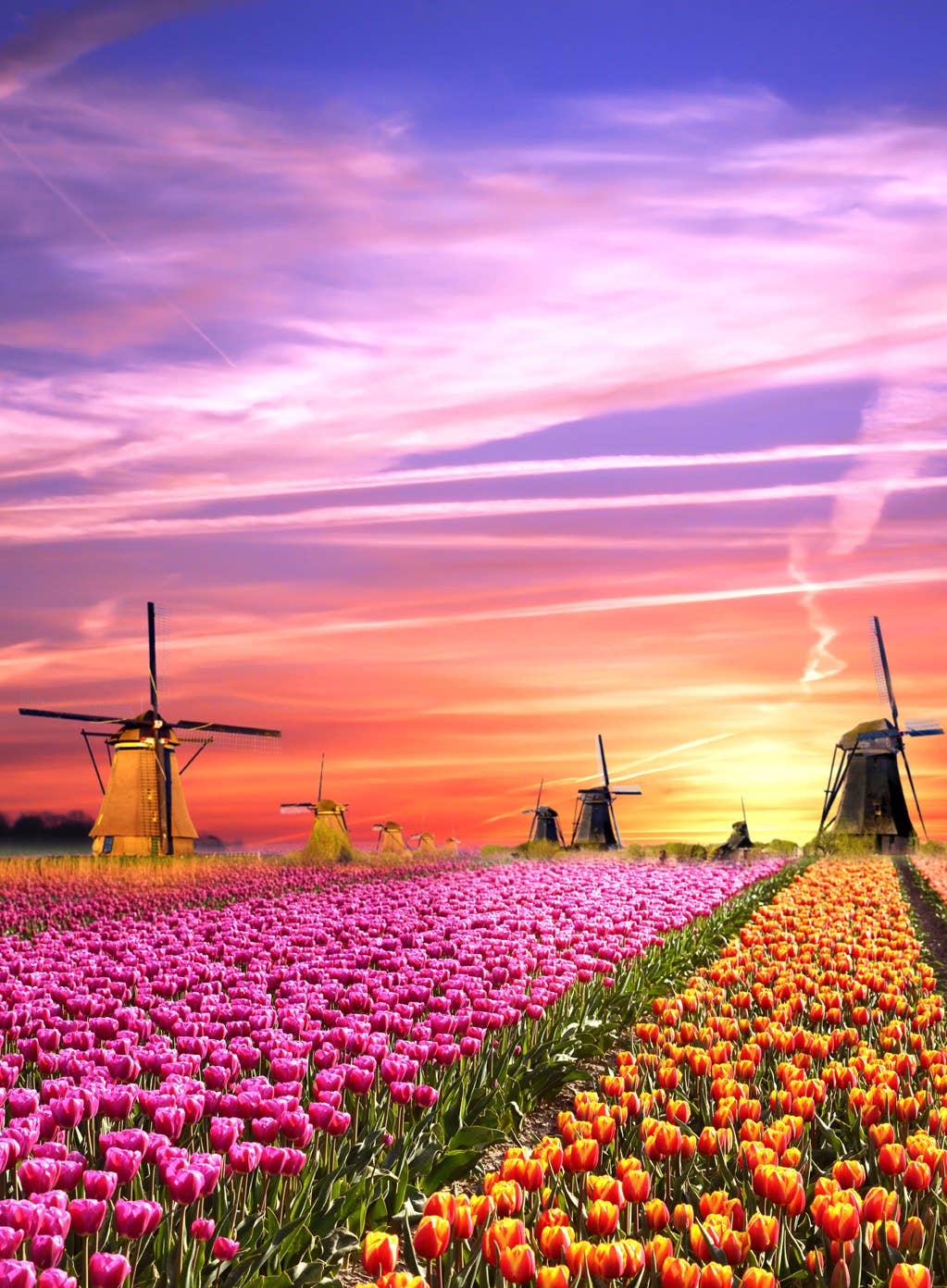 Magical Sunrise in the Netherlands 500 Piece Jigsaw Puzzle by Clementoni - Clementoni - Jigsaw Puzzles - The Puzzle Center -