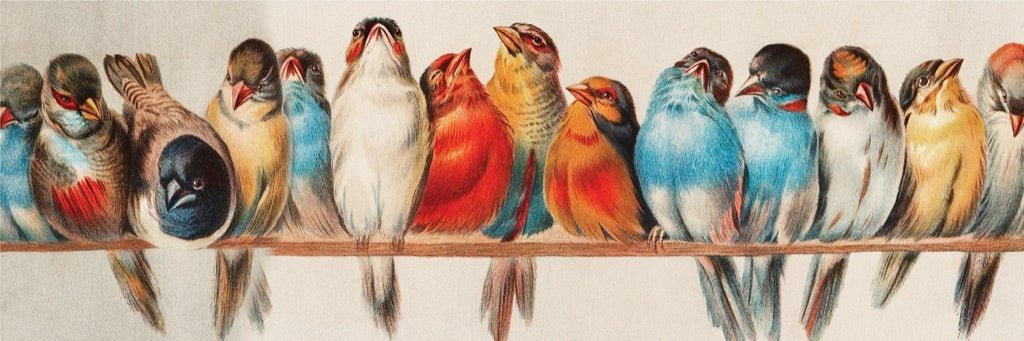 Perch 1000 Piece Jigsaw Puzzle by New York Puzzle Company - New York Puzzle Company - Jigsaw Puzzles - The Puzzle Center -