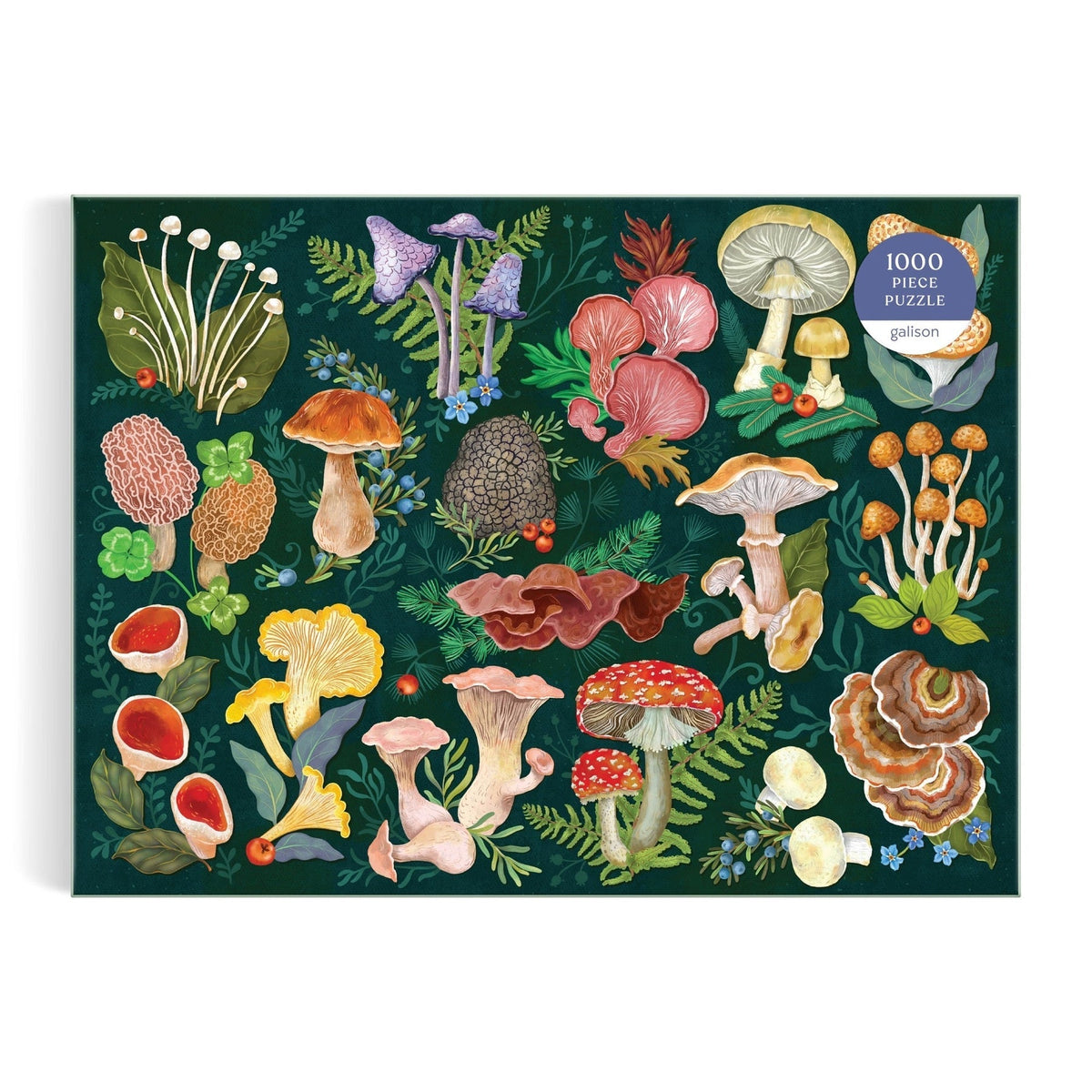 World of Mushrooms 1000 Piece Jigsaw Puzzle | Galison - Jigsaw Puzzles - The Puzzle Center