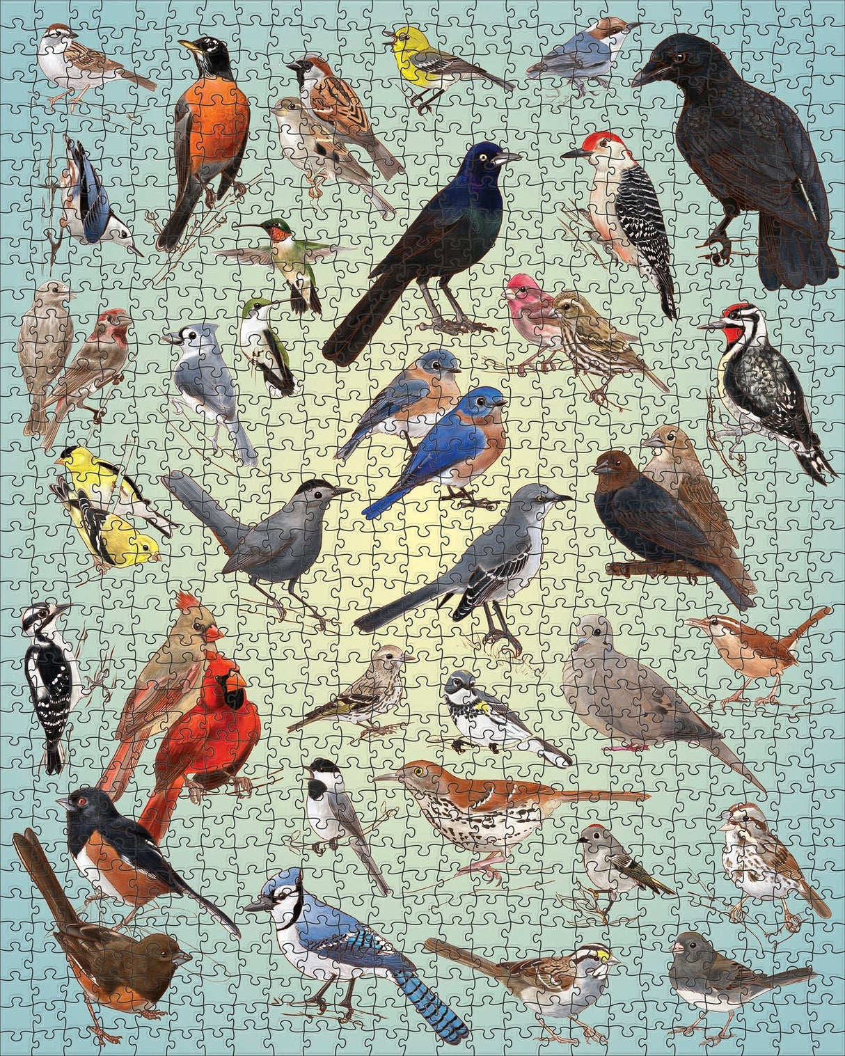 Backyard Birds 1000 Piece Jigsaw Puzzle | Pomegranate - Jigsaw Puzzles - The Puzzle Center