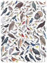 Birds of Eastern/Central North America 1000 Piece Jigsaw Puzzle | New York Puzzle Company - Jigsaw Puzzles - The Puzzle Center