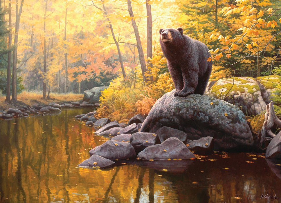 Black Bear Pond 1000 Piece Jigsaw Puzzle | Cobble Hill - Jigsaw Puzzles - The Puzzle Center