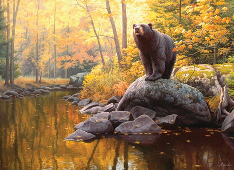 Black Bear Pond 1000 Piece Jigsaw Puzzle | Cobble Hill - Jigsaw Puzzles - The Puzzle Center