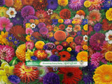 Blooming Every Daisy 500 Piece Jigsaw Puzzle by Springbok Puzzles - Springbok Puzzles - Jigsaw Puzzles - The Puzzle Center