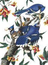 Blue Jays 500 Piece Jigsaw Puzzle | New York Puzzle Company - Jigsaw Puzzles - The Puzzle Center