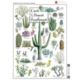 Cacti of the Desert Southwest 1000 Piece Jigsaw Puzzle | Masterpieces - Jigsaw Puzzles - The Puzzle Center
