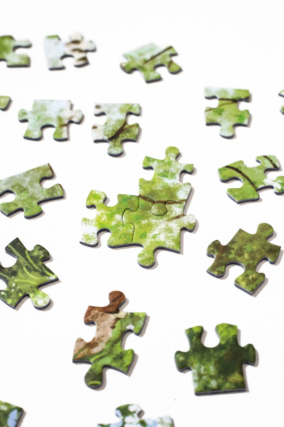 Cottage in Birch Grove 500 Piece Jigsaw Puzzle | WEVE - Jigsaw Puzzles - The Puzzle Center