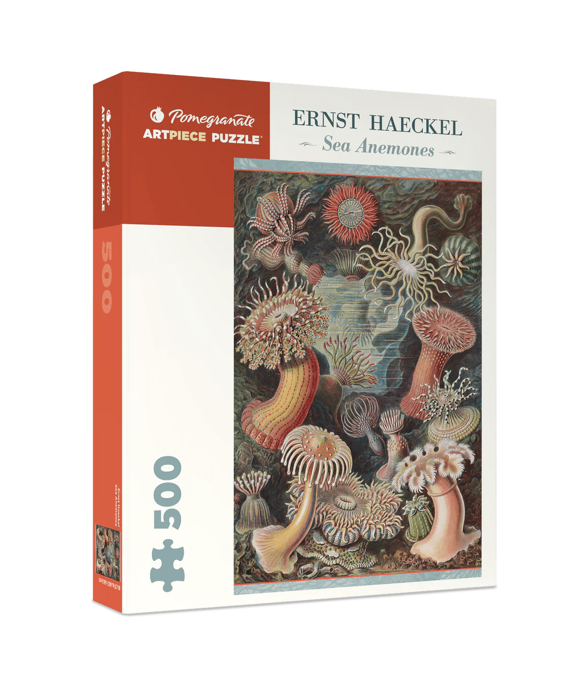 Ernst Haeckel: Sea Anemones 500 - Piece Jigsaw Puzzle by Pomegranate - Pomegranate - Jigsaw Puzzles - The Puzzle Center - 