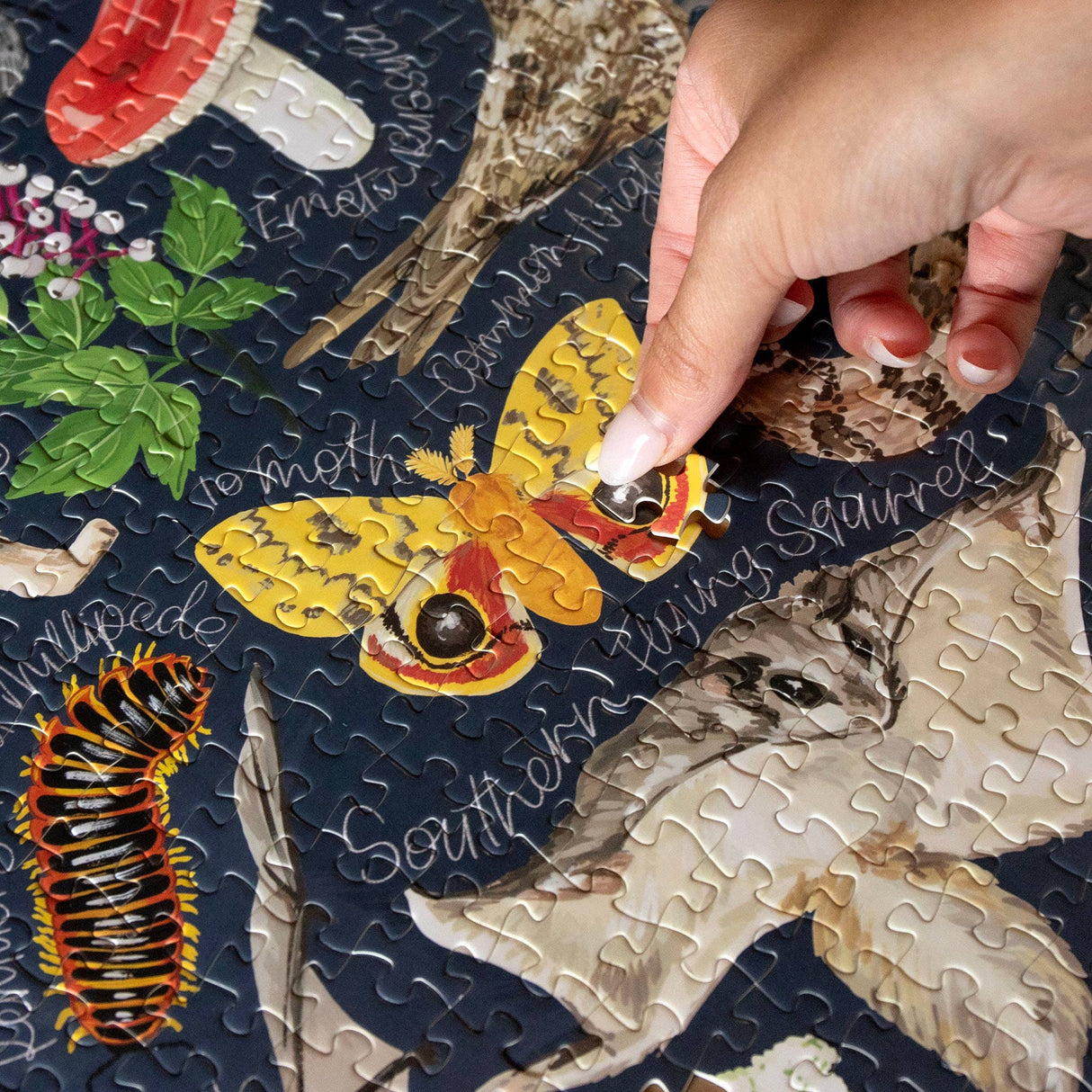 Midnight Flora & Fauna 1000 Piece Jigsaw Puzzle | 1Canoe2 - Jigsaw Puzzles - The Puzzle Center