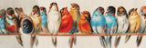 Perch 1000 Piece Jigsaw Puzzle by New York Puzzle Company - New York Puzzle Company - Jigsaw Puzzles - The Puzzle Center - 
