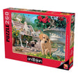 Pets Hide and Seek 260 Piece Jigsaw Puzzle | Anatolian - Jigsaw Puzzles - The Puzzle Center