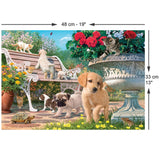 Pets Hide and Seek 260 Piece Jigsaw Puzzle | Anatolian - Jigsaw Puzzles - The Puzzle Center