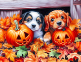 Puppies And Jacks 500 Piece Jigsaw Puzzle | SunsOut - Jigsaw Puzzles - The Puzzle Center