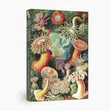 Sea Anemones 1000 Piece Jigsaw Puzzle | Penny Puzzle - Jigsaw Puzzles - The Puzzle Center