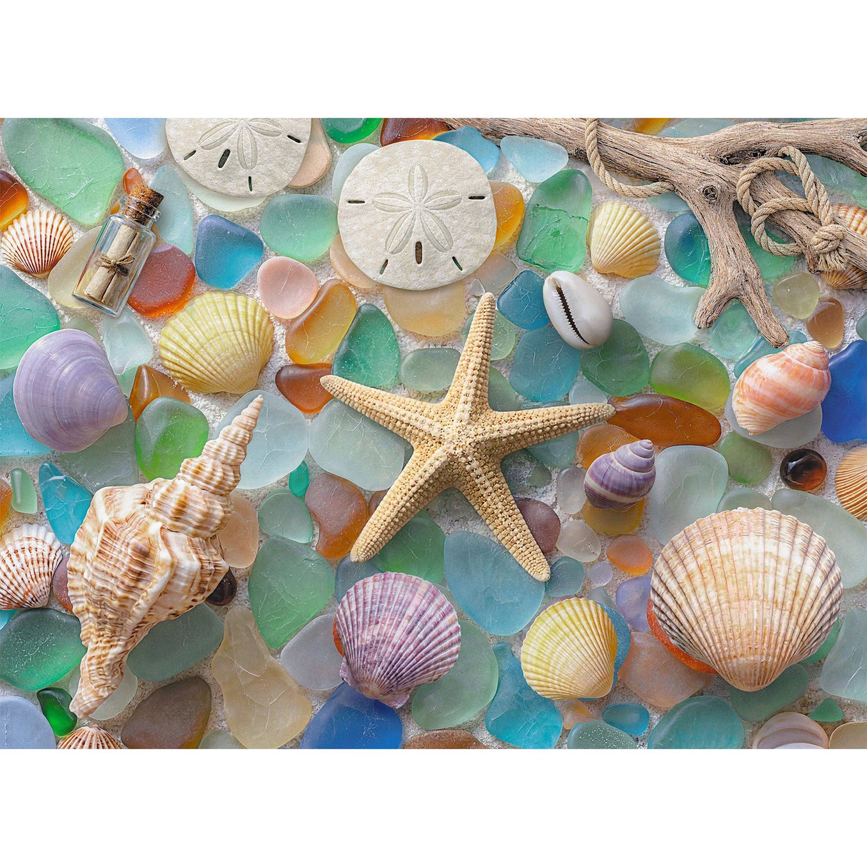Washed Ashore 1000 Piece Jigsaw Puzzle | Final Piece Puzzles - Jigsaw Puzzles - The Puzzle Center