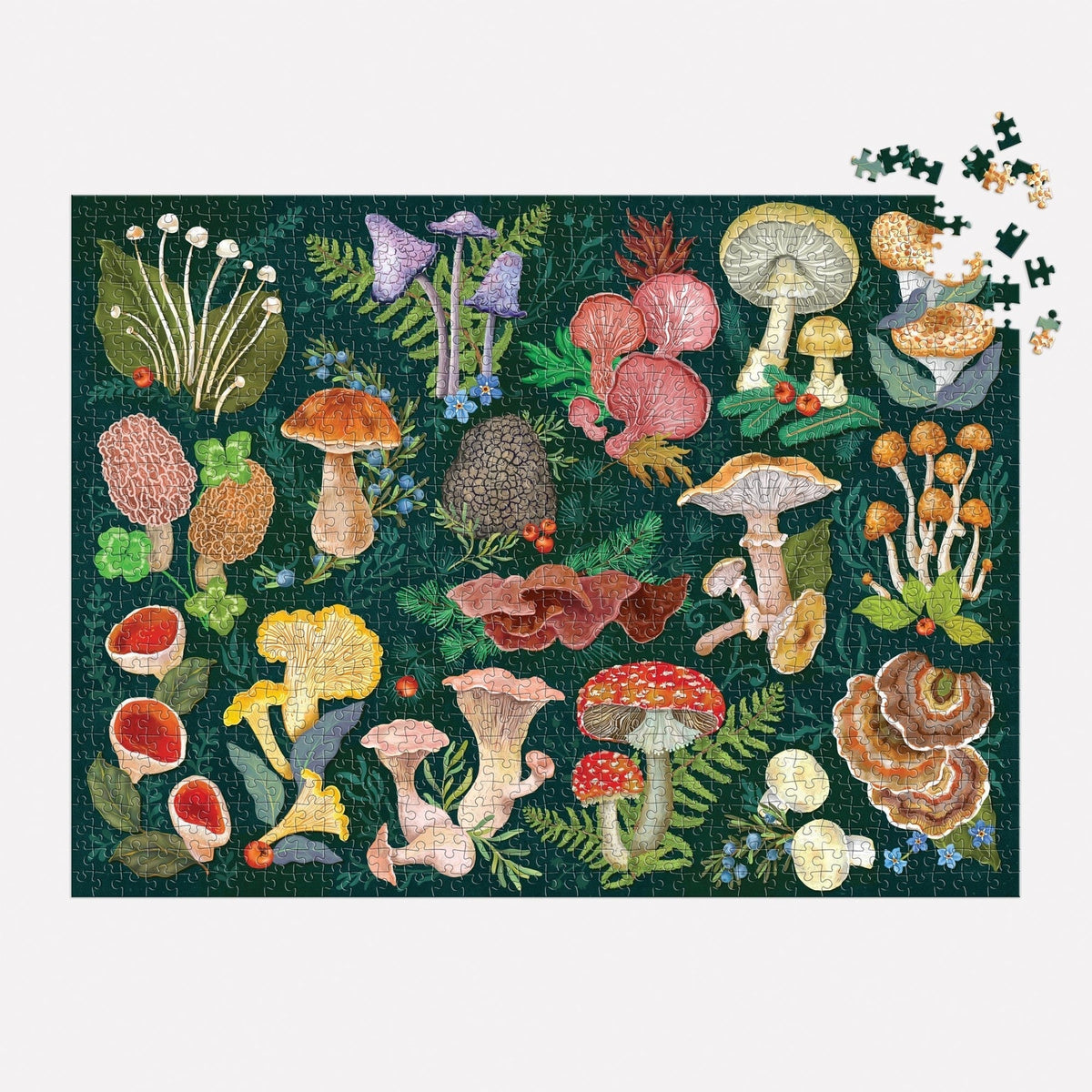World of Mushrooms 1000 Piece Jigsaw Puzzle | Galison - Jigsaw Puzzles - The Puzzle Center